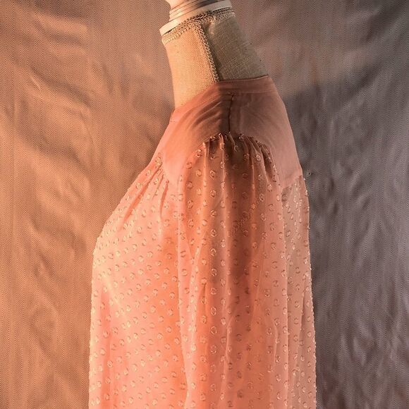 Ann Taylor Shear Pink Textured Button Down Long Sleeve Blouse XS - Picture 8 of 11